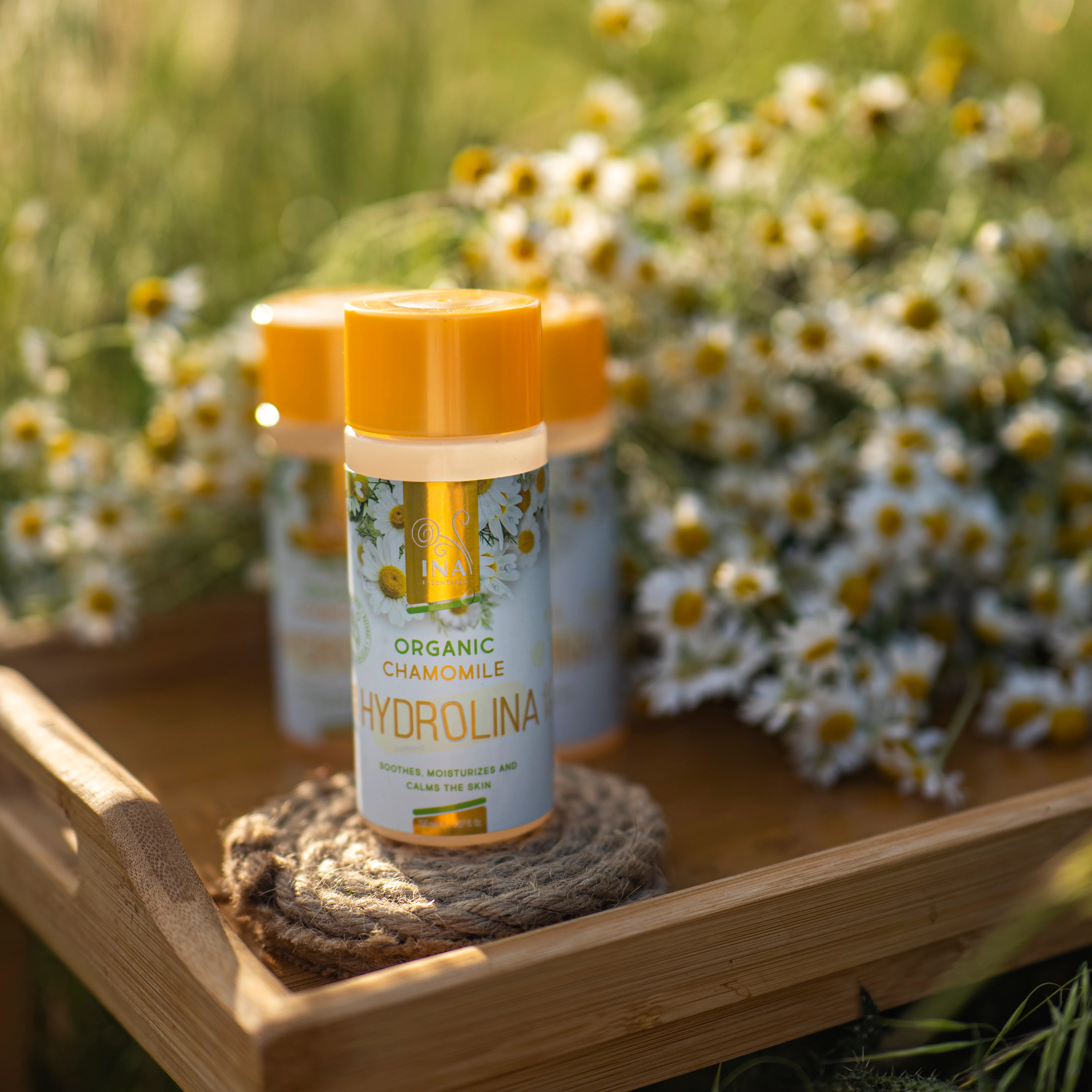 Organic Chamomile water - Hydrolina for Eczema and Irritated skin - Image 6